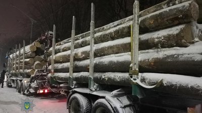 У Львові поліція арештувала дві вантажівки з краденим на Івано-Франківщині лісом