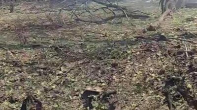 На війні в Україні можуть з’явитися солдати з Північної Кореї