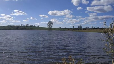 На Львівщині здали в оренду ставок за рекордну вартість