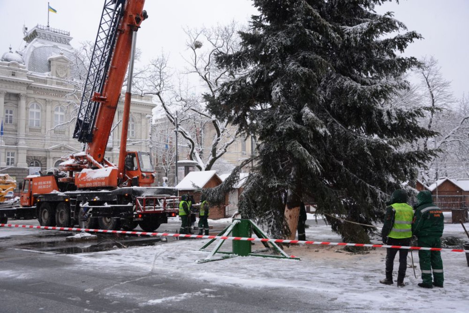 На площі перед Оперним театром встановили головну ялинку міста Львова, фото ЛМР