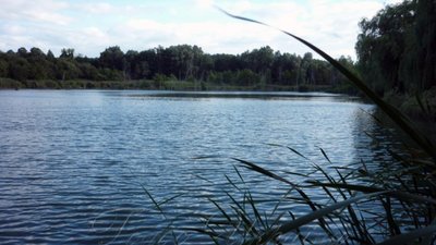 На Львівщині знайшли мертвим молодого чоловіка, якого розшукували дві доби