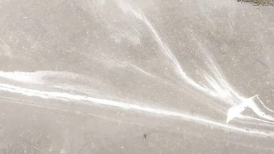 У Львові на дорогах утворилась біла піна