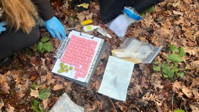 У Львові затримали «закладчицю»