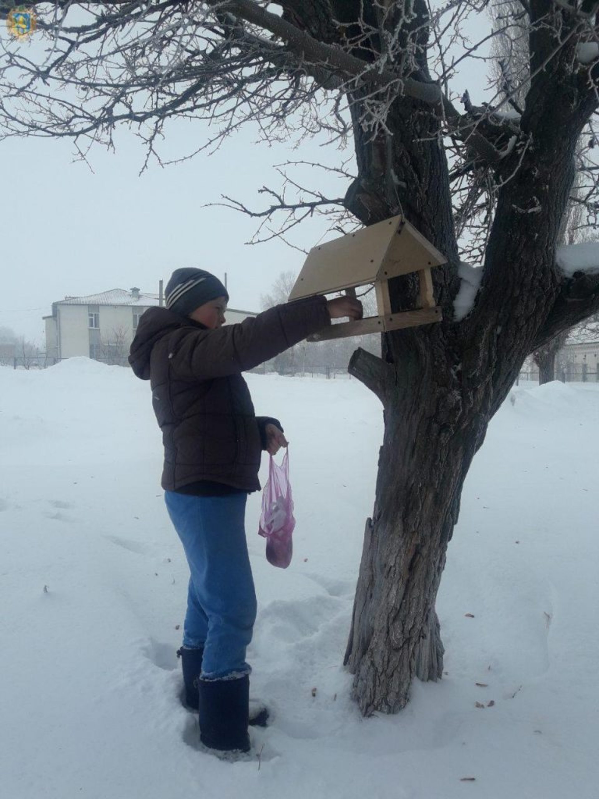 Мешканців Львівщини запрошують долучатись до флешмобу #ягодуюптахів