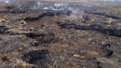 На Львівщині третій тиждень горить торф