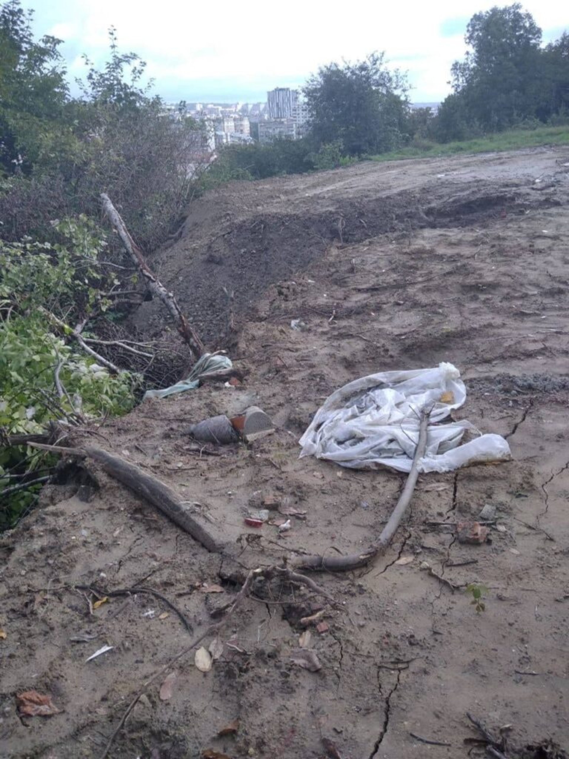 У Львові самовільно захопили землю і зрізали дерева