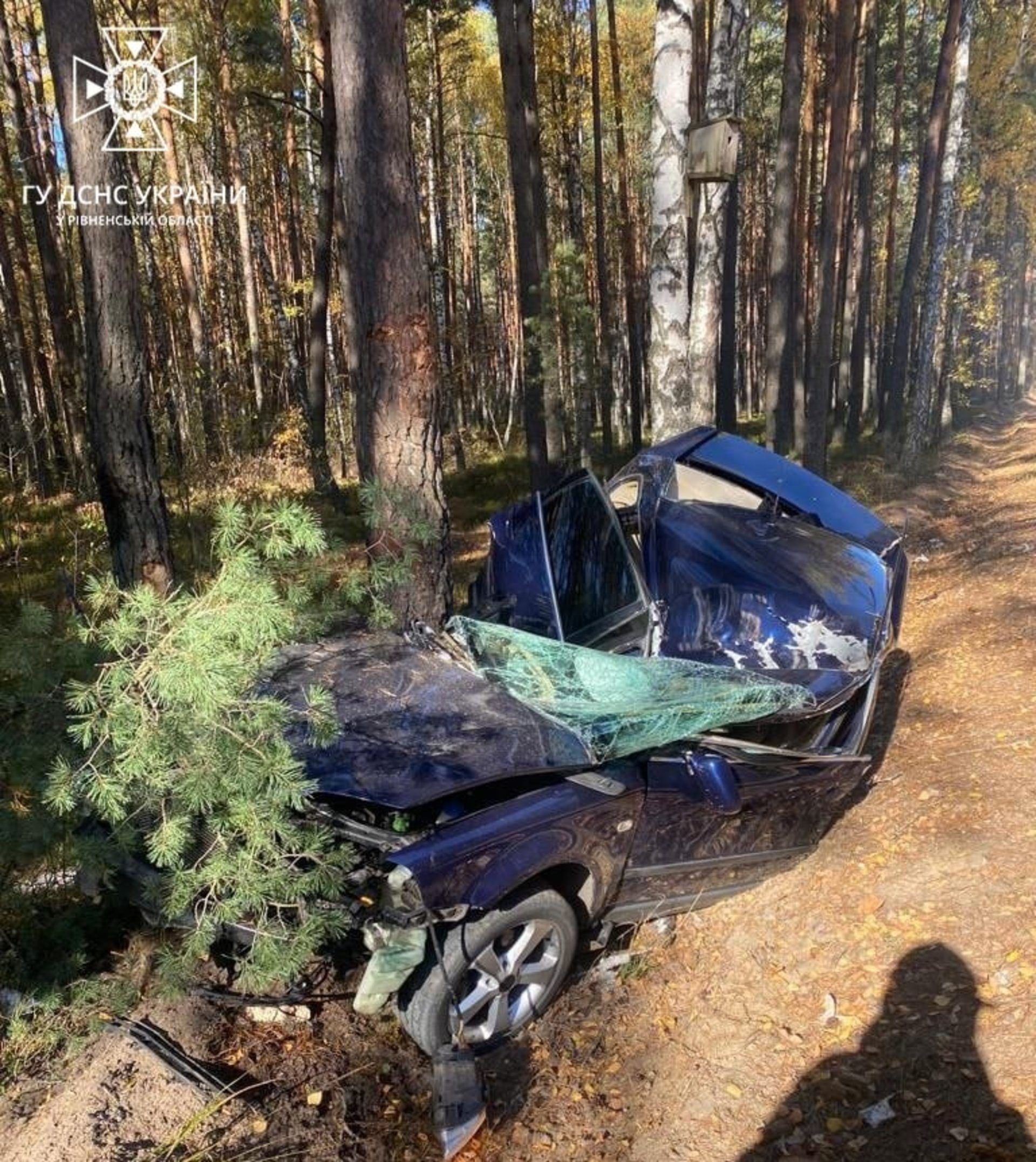 На Рівненщині сталася смертельна ДТП