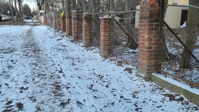 У Львові на місці скандального будівництва зрізали дерева 