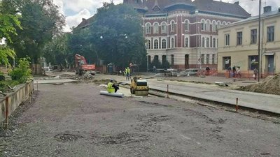 У Львові на вулиці Степана Бандери зрізають останні дерева (ФОТО)