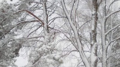 В Україну йдуть дощі та мокрий сніг