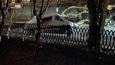 У Львові дерево впало на автомобіль