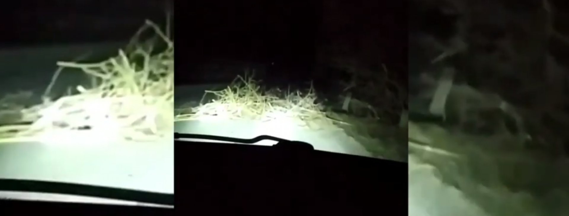 Скриншот відео