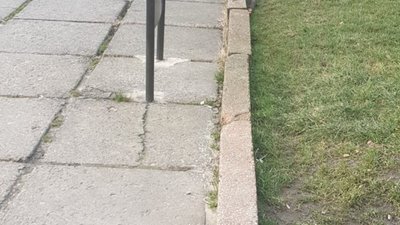 У Львові вмирають вже навіть щурі (ФОТО)