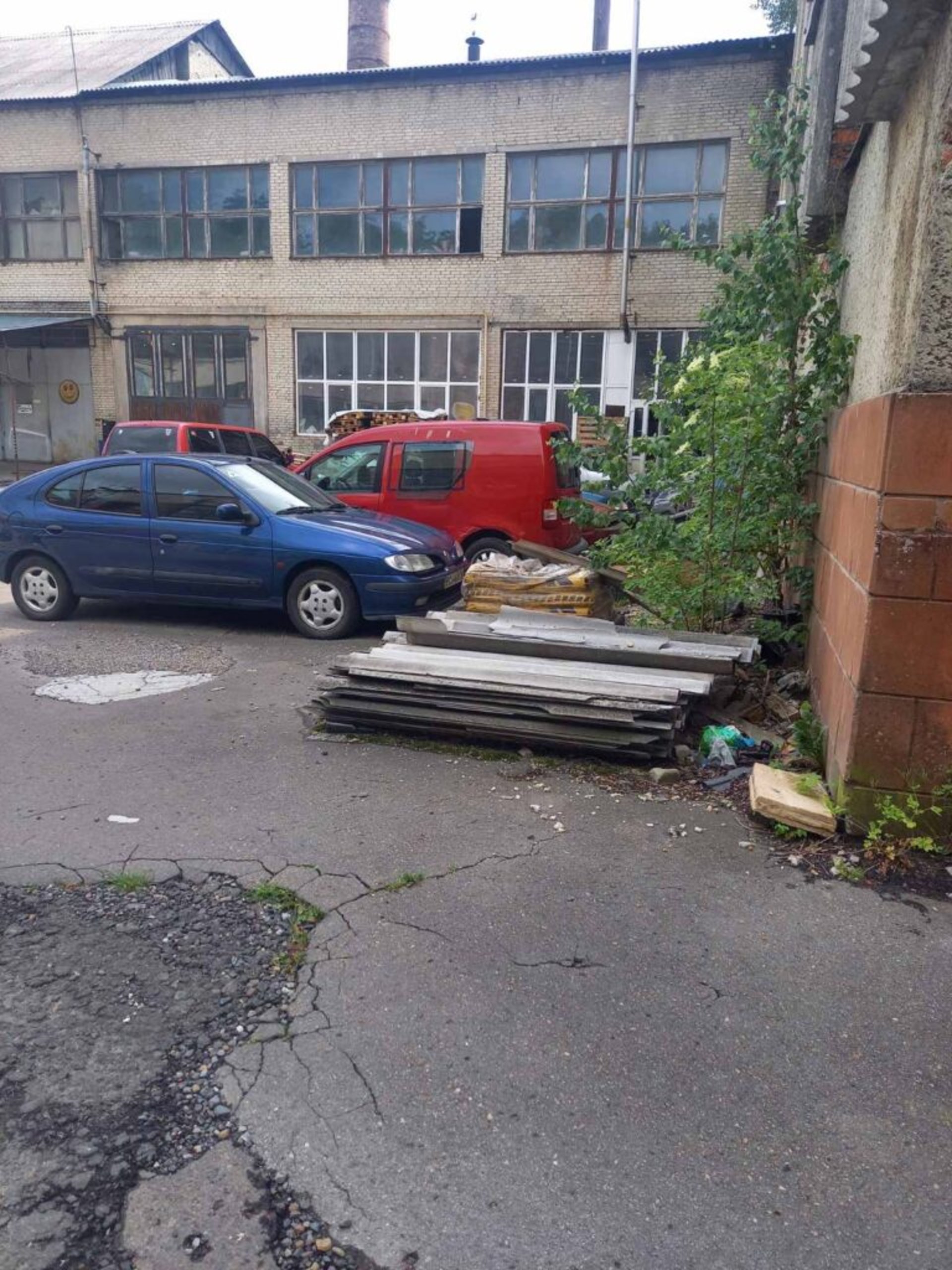 Врятувати чи обікрасти львівських художників