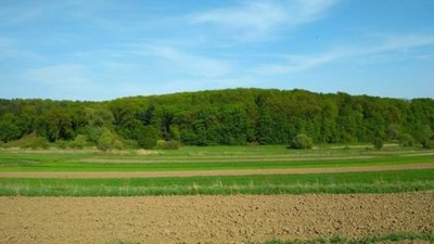 На Львівщині для інвесторів створили каталог вільних земельних ділянок