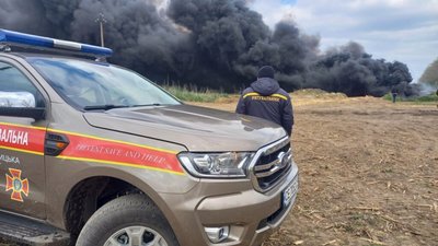 На Буковині просто неба спалили понад 20 тисяч свиней (ВІДЕО)