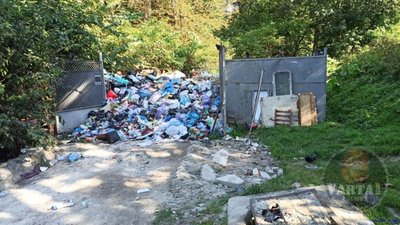 У Львові територія ветеринарного університету потопає у горах сміття (ФОТО)