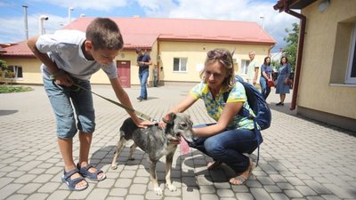 Біля Львова з'явиться новий притулок для тварин: коли завершать будівництво