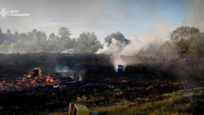 На Стрийщині вогонь знищив 20 вуликів