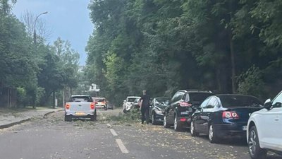Скільки дерев повалила негода у Львові
