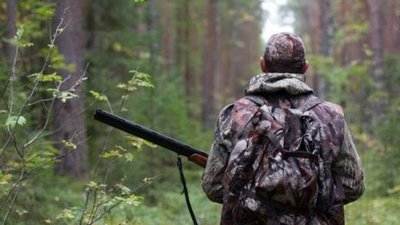 На Львівщині зафіксували сказ у тварин