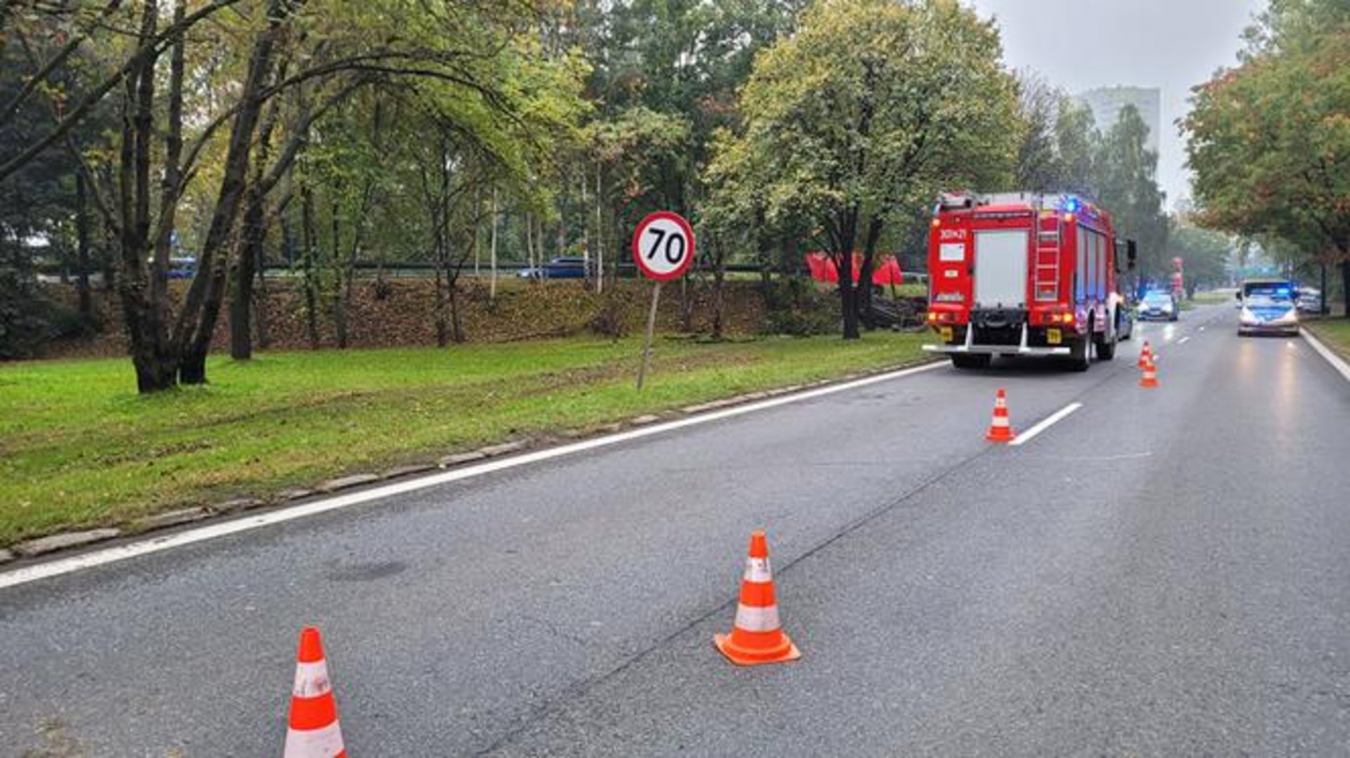 У Польщі у ДТП загинули молоді українці