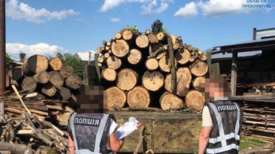 На Львівщині майже на 10 млн грн вирубали дерев
