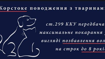 Поліцейські перевіряють повідомлення про жорстоке поводження з твариною у Бродах