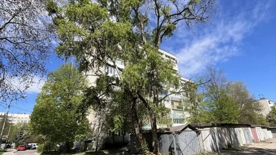У Львові чиновники Садового замість роботу "працюють" у ШІ