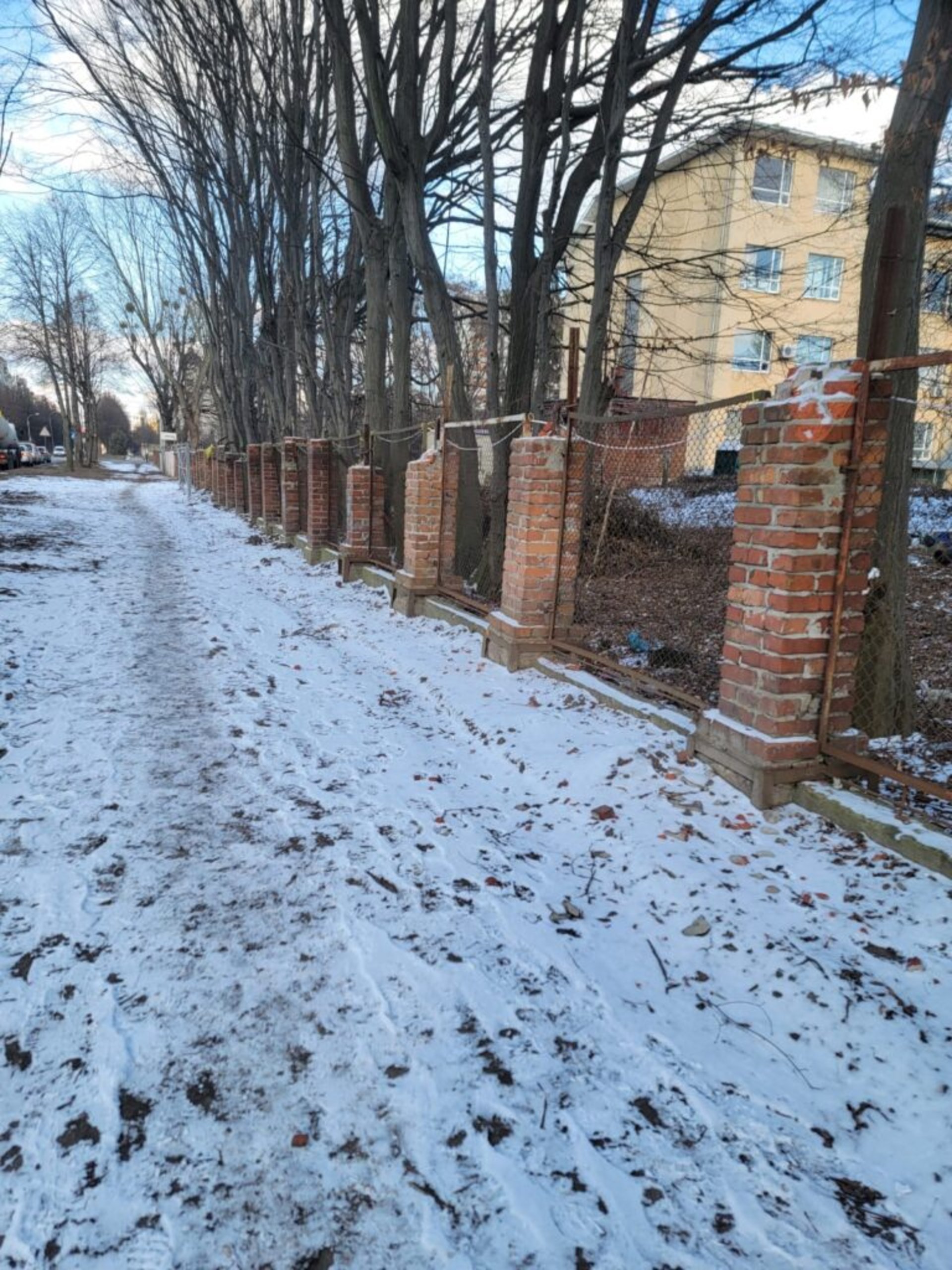 У Львові на місці скандального будівництва зрізали дерева, фото Четверта студія