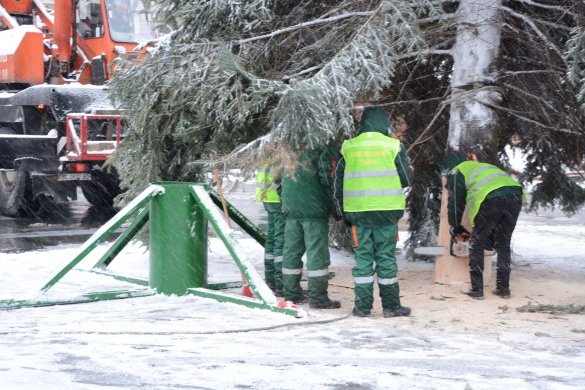 На площі перед Оперним театром встановили головну ялинку міста Львова, фото ЛМР