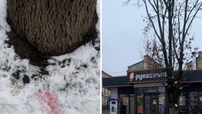 У Львові розсипали отруту проти тварин