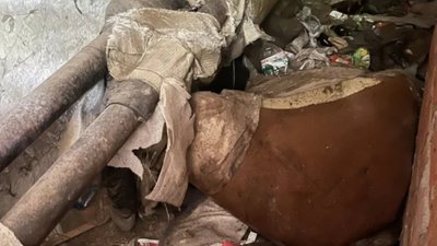 У Львові в укритті завелись щурі (ФОТО, ВІДЕО)