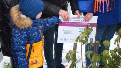У Львові висадили саджанці калини (ФОТО, ВІДЕО)