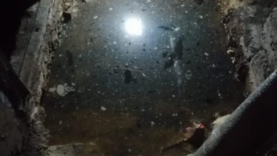 У Львові воду у підвалі будинку закидали дошками (ФОТО)