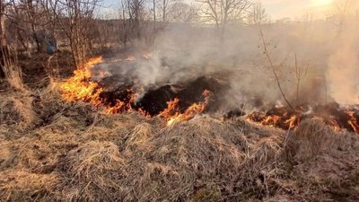 На Львівщині горіло футбольне поле