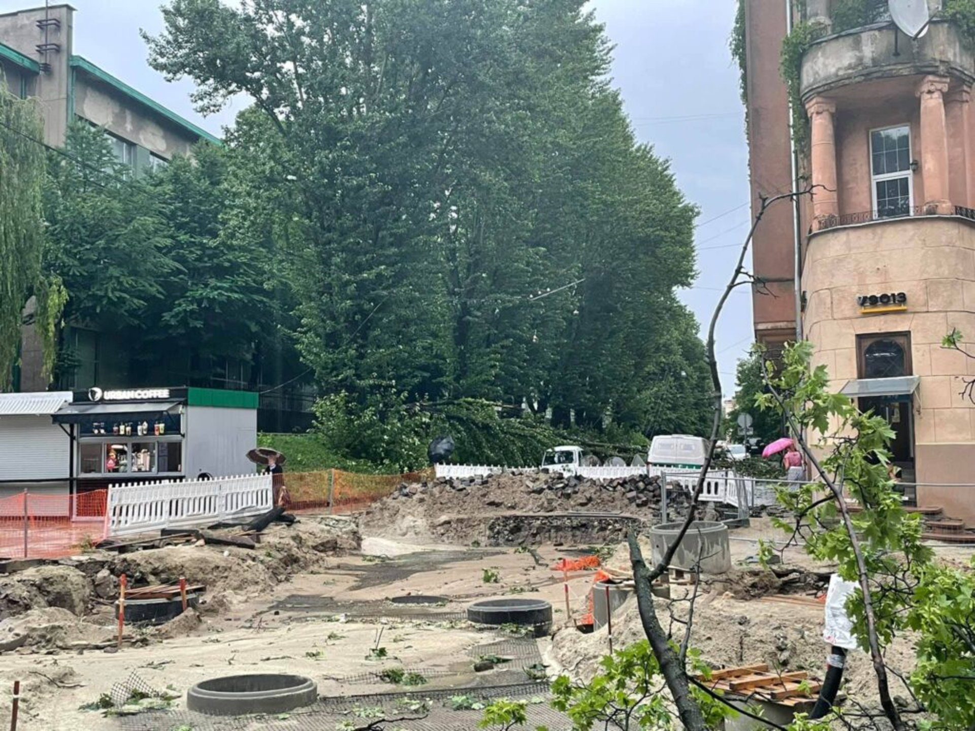 У Львові на вулиці Степана Бандери негода повалила дерева, фото Зручне місто