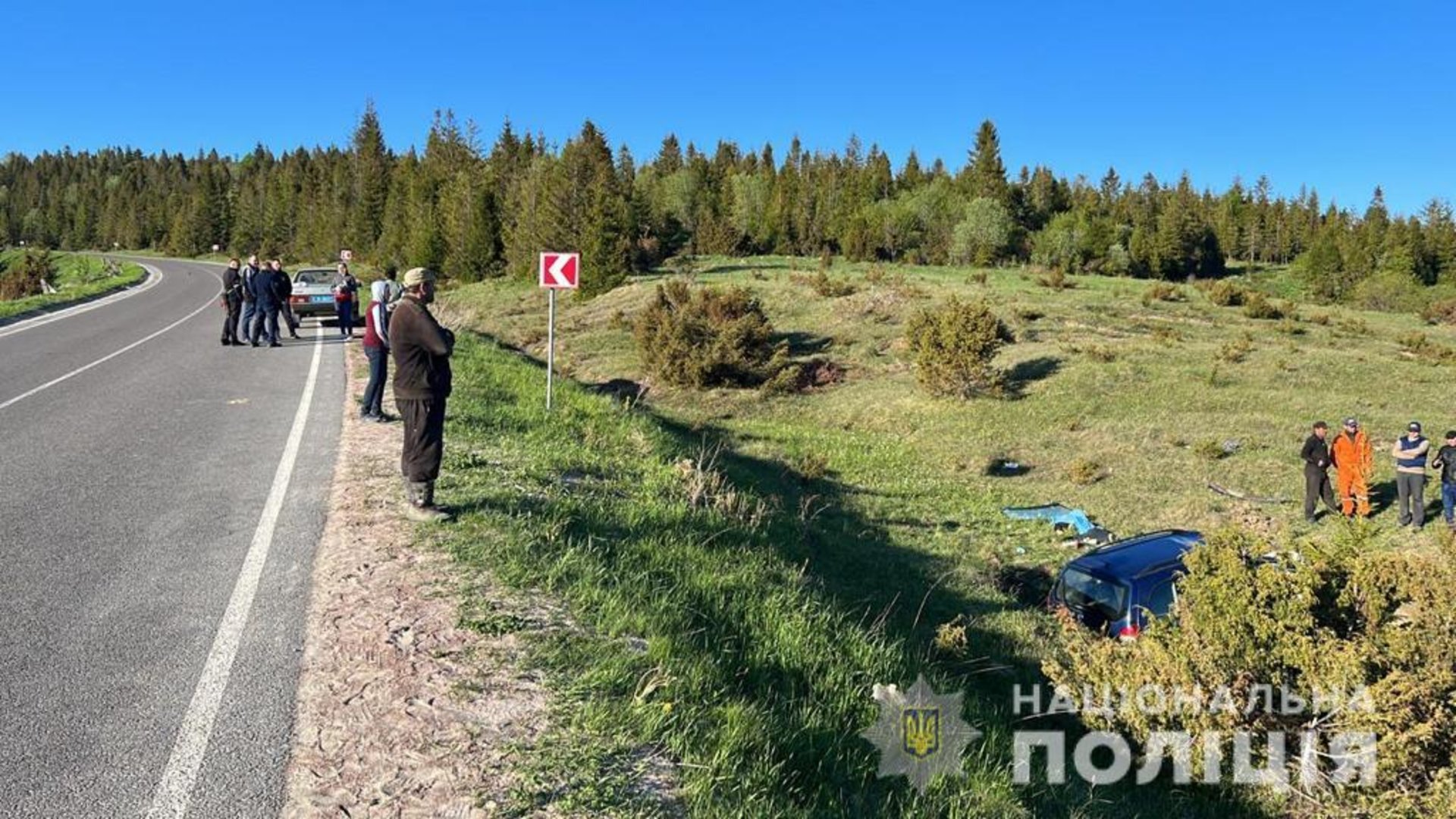 На Львівщині із траси злетів автомобіль, водій загинув