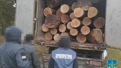 На Львівщині посадові особи лісництва входили у злочинну групу