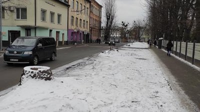 У Львові на вулиці Хімічній зрізали тополі (ФОТО)