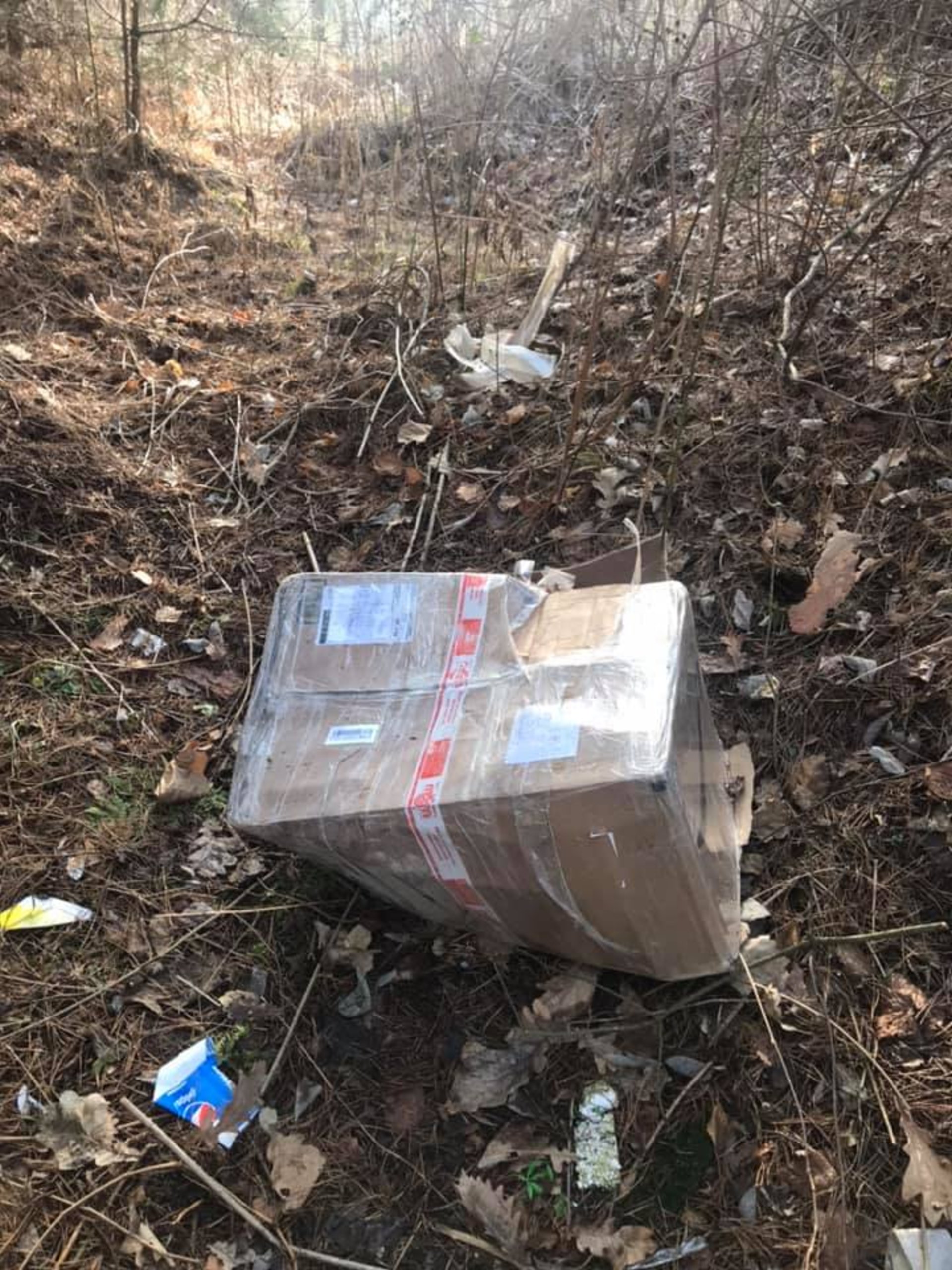 Як в Новояворіаську засмічують ліс. Фото: Олег Бондар.