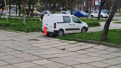 У Львові просять навести порядок із паркуванням (ФОТО)