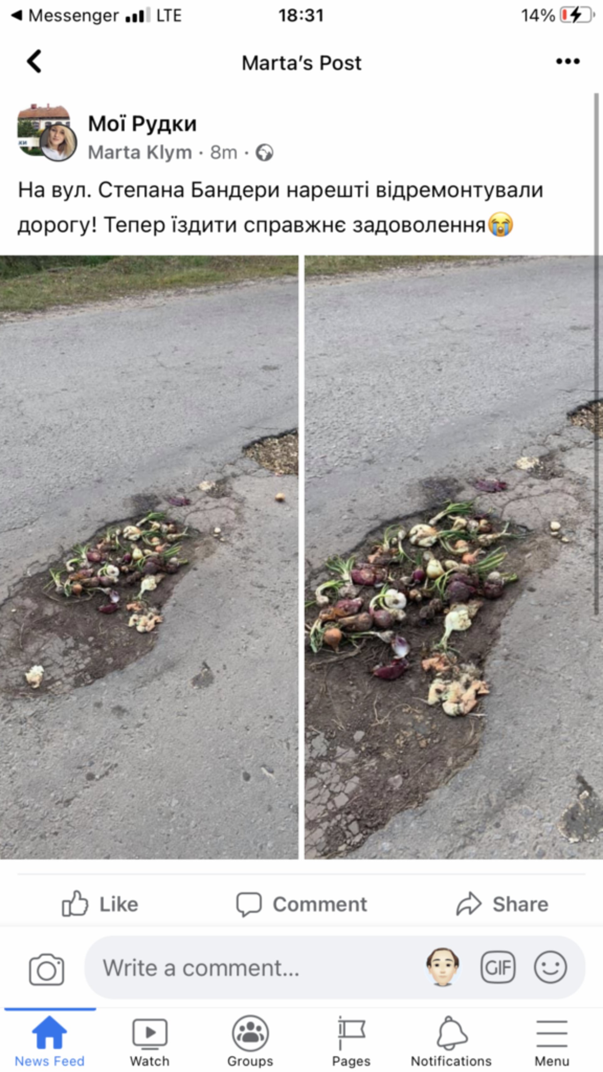 На Львівщині ями на дорозі засипали овочами, скрін повідомлення