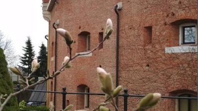 Весна у Львові (ФОТО)