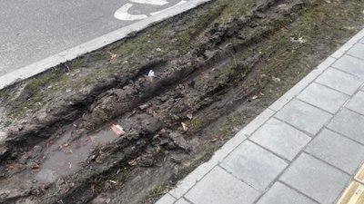 У Львові на улюбленій вулиці Садового знищили газон (ФОТО)