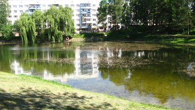 Львів’ян закликають долучитися до толоки на Піскових озерах