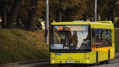 У Львові у маршрутці травмувалась дитина