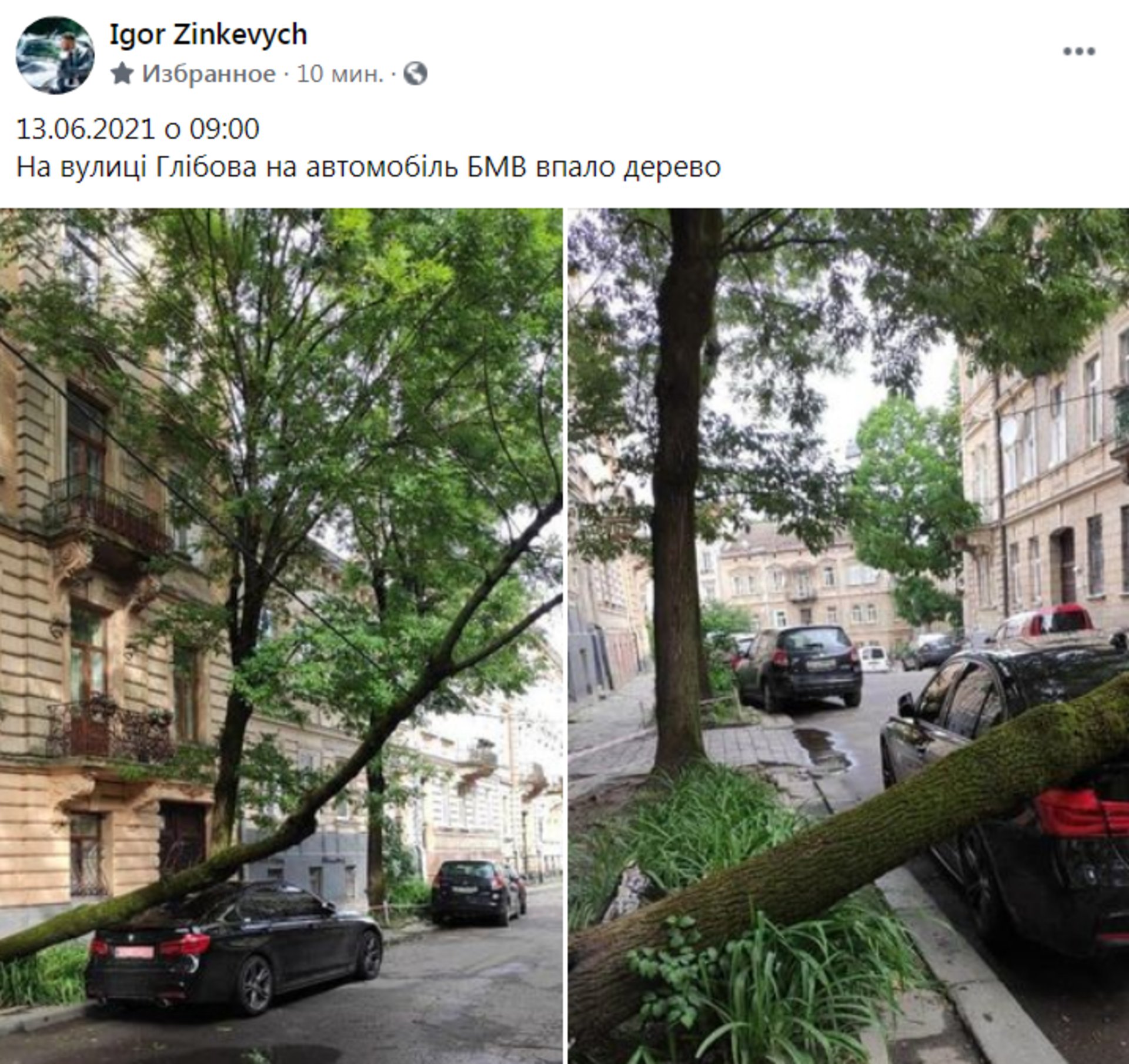 У центрі Львова дерево впало на BMW