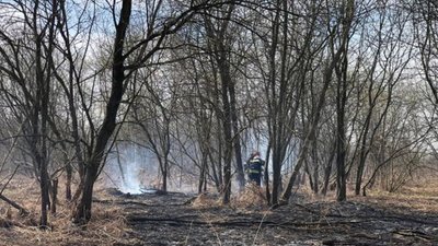 На Львівщині ліквідували 121 пожежу сухої трави (ФОТО)