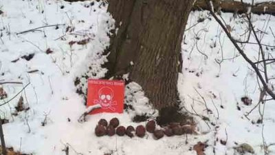 На Яворівщині знищили небезпечні знахідки (ФОТО)